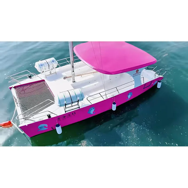 30ft kommerzieller Katamaran